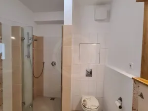 Pronájem bytu 2+kk, České Budějovice, U Lučního jezu, 47 m2