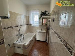 Prodej rodinného domu, Albrechtičky, 320 m2