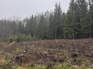 Prodej pozemku, Veliny, 16991 m2