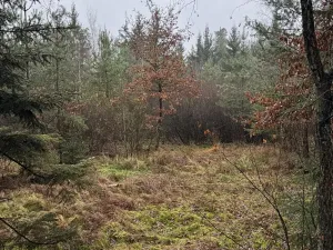 Prodej pozemku, Veliny, 16991 m2