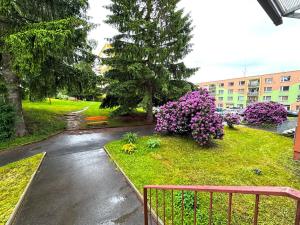 Prodej bytu 3+1, Liberec, Na Bojišti, 85 m2