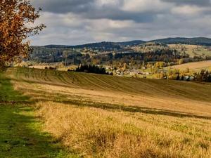 Prodej bytu 5+kk, Vysoké nad Jizerou, 165 m2