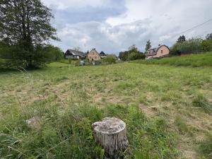 Prodej pozemku pro bydlení, Borovnice, 2645 m2