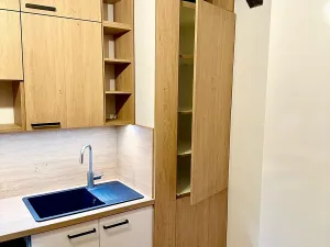 Pronájem bytu 1+kk, Ostrava, Dvorní, 40 m2