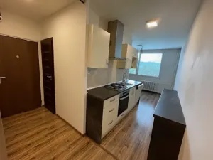 Pronájem bytu 2+1, Ústí nad Labem, Truhlářova, 66 m2