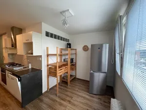 Pronájem bytu 2+1, Ústí nad Labem, Truhlářova, 66 m2