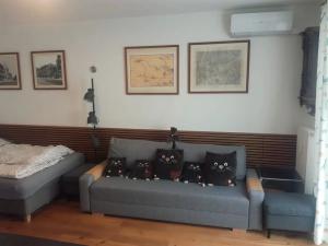 Pronájem bytu 1+kk, Brno, Masná, 35 m2