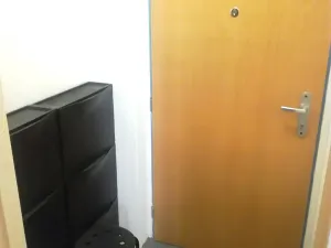 Pronájem bytu 1+kk, Brno, Masná, 35 m2
