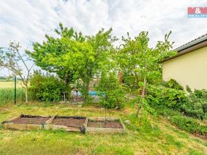 Prodej rodinného domu, Opatovice, Nová, 100 m2