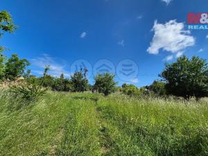 Prodej pozemku pro bydlení, Hrušovany, 30076 m2