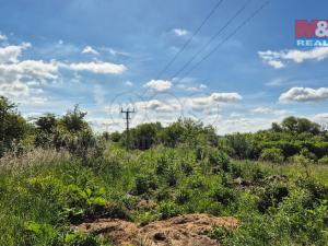 Prodej pozemku pro bydlení, Hrušovany, 30076 m2