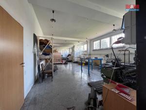 Prodej obchodního prostoru, Nové Sedlo, Masarykova, 408 m2