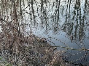 Prodej chaty, Louny, Masarykovy sady, 16 m2