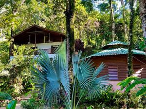 Prodej rodinného domu, La Ceiba, Honduras, 4080 m2