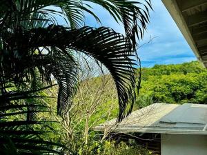 Prodej rodinného domu, Coxen Hole, Roatán, Honduras, 668 m2