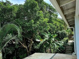 Prodej rodinného domu, Coxen Hole, Roatán, Honduras, 668 m2
