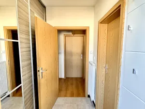 Prodej bytu 2+1, Nová Ves, Nad Obcí, 49 m2