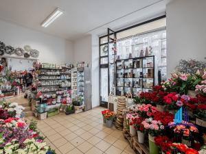 Pronájem obchodního prostoru, Praha - Bubeneč, Jugoslávských partyzánů, 87 m2