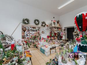 Pronájem obchodního prostoru, Praha - Bubeneč, Jugoslávských partyzánů, 87 m2