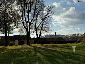 Prodej činžovního domu, Žďárná, 700 m2