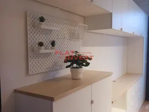 Pronájem bytu 1+kk, Praha - Karlín, Vítkova, 39 m2