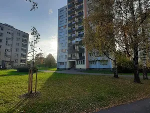 Pronájem bytu 1+kk, Frýdek-Místek, Československé armády, 30 m2