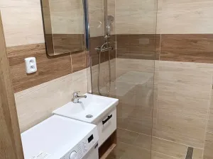 Pronájem bytu 1+kk, Frýdek-Místek, Československé armády, 30 m2
