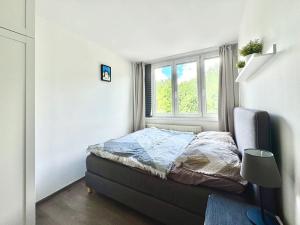 Prodej bytu 3+kk, Liberec, Dvorská, 65 m2