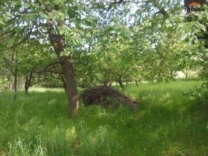 Prodej zahrady, Turnov, 861 m2