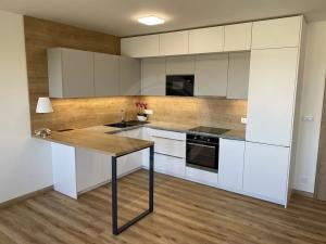 Pronájem bytu 1+kk, České Budějovice, České Vrbné, 38 m2