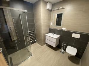 Pronájem bytu 1+kk, České Budějovice, České Vrbné, 38 m2