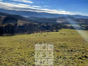 Prodej pozemku pro bydlení, Domašín, 1150 m2