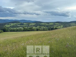 Prodej pozemku pro bydlení, Domašín, 1150 m2