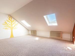 Prodej rodinného domu, Brno, Křehlíkova, 180 m2