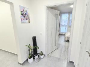Pronájem bytu 2+1, Prostějov, Václava Špály, 48 m2