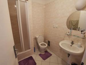 Pronájem bytu 1+kk, Praha - Strašnice, Vinohradská, 43 m2