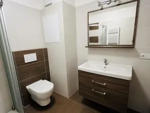 Pronájem bytu 2+kk, Olomouc, Nezvalova, 45 m2