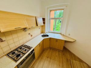 Pronájem bytu 2+1, Cheb, Americká, 62 m2