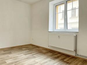 Pronájem bytu 1+kk, Dolní Poustevna, Vilémovská, 44 m2