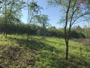 Prodej zahrady, Postoloprty - Mradice, 388 m2