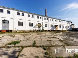 Prodej skladu, Olomouc, U cukrovaru, 532 m2
