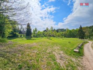 Prodej pozemku pro bydlení, Nový Hrádek - Rzy, 2853 m2