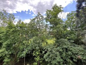 Pronájem bytu 2+kk, Praha - Vokovice, K Červenému vrchu, 60 m2