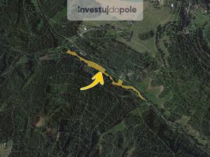 Prodej lesa, Železný Brod - Těpeře, 5684 m2