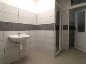 Pronájem výrobních prostor, Moravany, Bohunická cesta, 900 m2