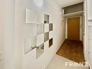 Pronájem bytu 1+1, Ostrava, Březinova, 41 m2