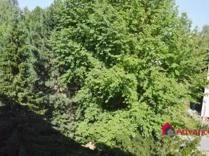 Pronájem bytu 1+1, Ostrava, Šeříková, 39 m2