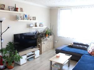 Prodej bytu 3+1, Nové Hrady, Sídliště míru, 77 m2
