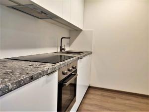 Pronájem bytu 1+kk, Brno, Placzkova, 29 m2
