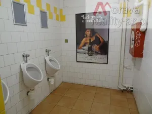 Pronájem restaurace, Brno, Lýskova, 400 m2